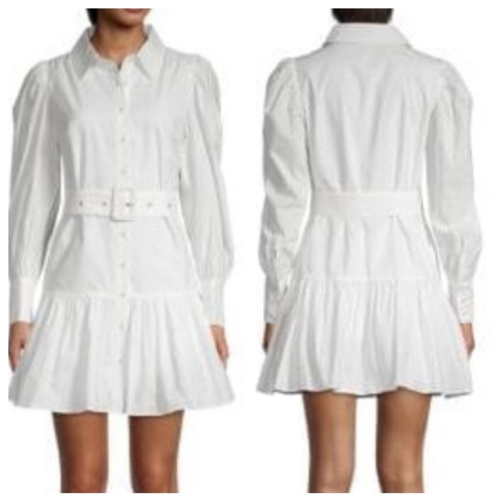 Walter Baker Tara Tiered Belted Dress